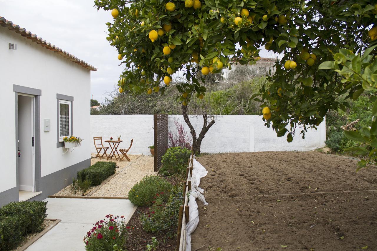 Casa Do Avo Serra 莱里亚 外观 照片
