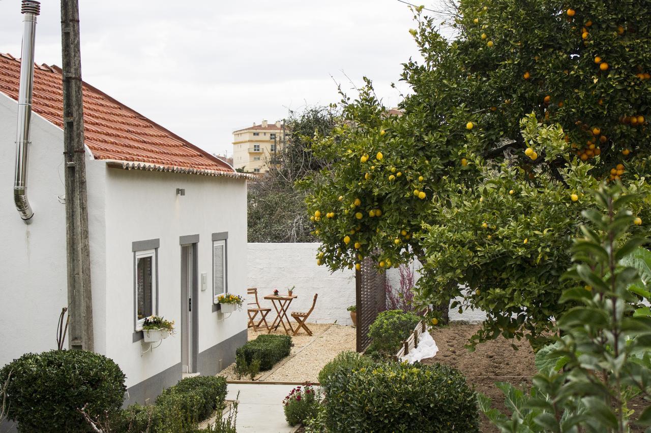 Casa Do Avo Serra 莱里亚 外观 照片